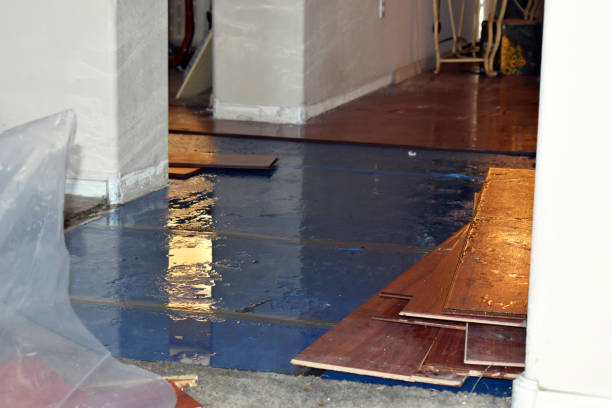 Professional Water Damage Repair technician working in East Marion, NY